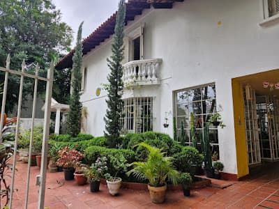 Gabriela Rocha Psicanalista