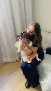 Lily Vet Atendimento domiciliar