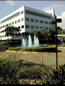 Andréa Evangelista Psicóloga Clínica Cognitivo Comportamental e Terapia dos Esquemas - foto 2