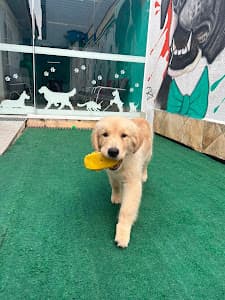 Pró Zoo Farmácia e Pet Shop - foto 5