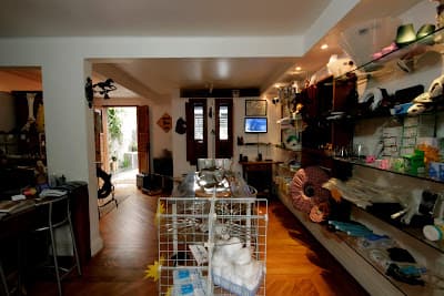 Ortovet - Qualidade Máxima para o Médico Veterinário