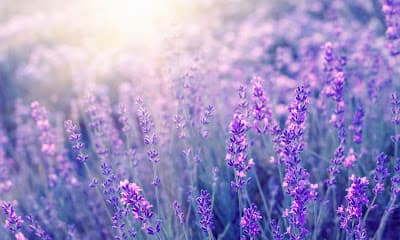 Psicóloga Brooklin - Marcia Nahime - foto 2