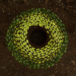 Mente Plena - Consolação