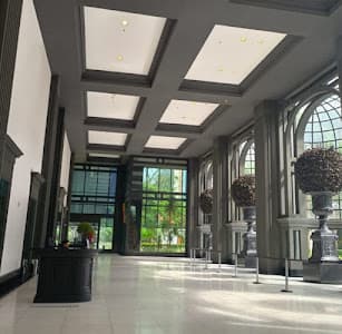 Psicóloga Amanda Meireles de Lima -Psicóloga no itaim bibi-SP | Atendimento Online | adolescentes e adultos. - foto 2