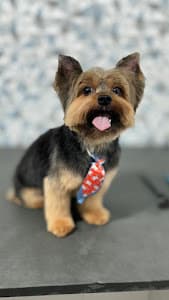 The Grooming Lab - Morumbi - foto 3