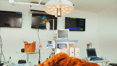 IEP Ranvier em Campo Belo