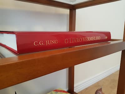 Psicóloga Kamilla P. Barreto - foto 3