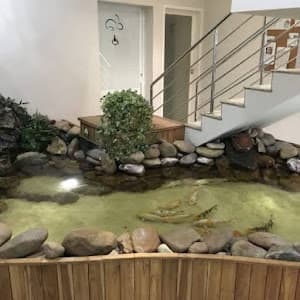 Psicóloga Miriam Albuquerque | Terapia de Casal e Individual