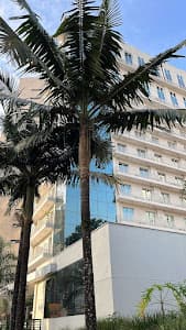 Dr. Caio Magno, Psiquiatra e Terapeuta - foto 2