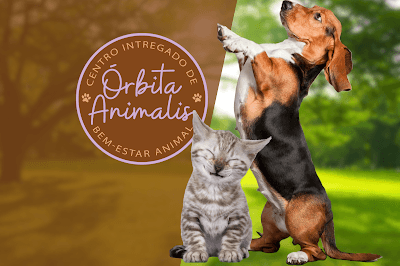 Órbita Animalis - Clínica Veterinária, Creche, Banho e Tosa - Hotel para Pets em Santana São Paulo em Santana
