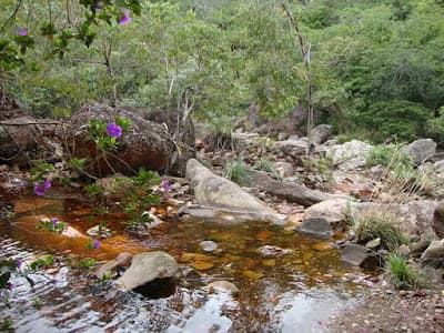 Sheila Sznifer Psicopedagogia e Terapia infantil e adolescente - foto 3