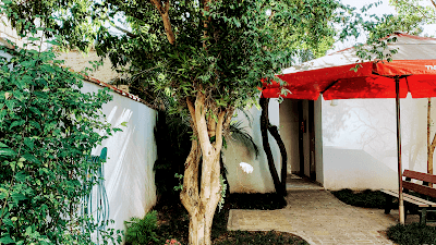 Psicólogo no Brooklin - Fernando Rigoni - foto 3