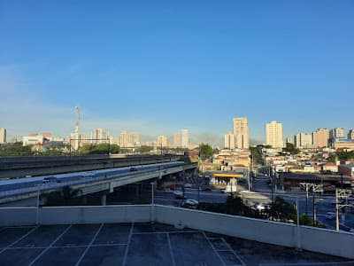 Cristiane Cruz Psicanalista e Psicóloga - foto 2