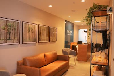 Dra. Andressa Di Cicco - foto 2