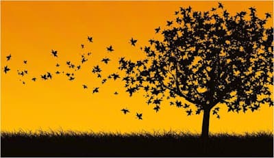 Psicólogo Thiago Silva