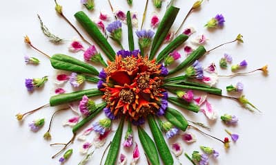 Psicóloga Brooklin - Marcia Nahime